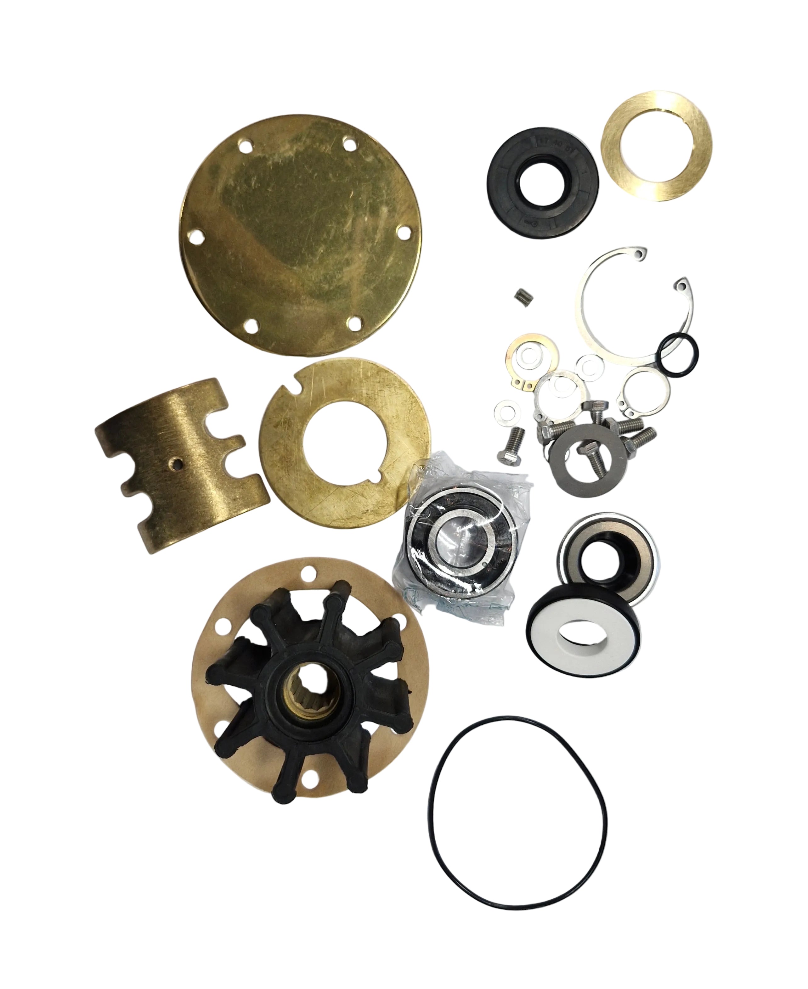 AN 7433 Minor Service kit for AN 7416 ( SS fm 6687) pump with oil seal