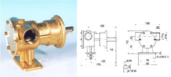 Pedestal Pump 1" Threaded Ports - Ancor 2020 (PM36)