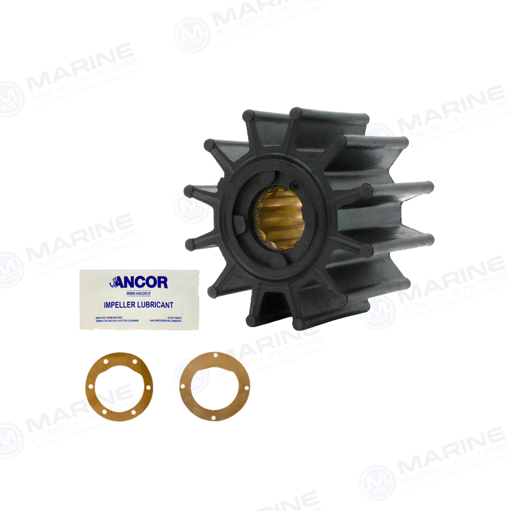 Jabsco 17935-0003, Johnson 09-819B-9 ANCOR AN 2718 Replacement