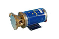 12V Multi-Purpose Pump 40 LPM (EP35 - AN 690)