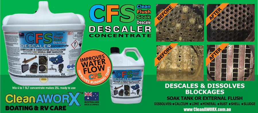 Descaler Concentrate 5L CFS