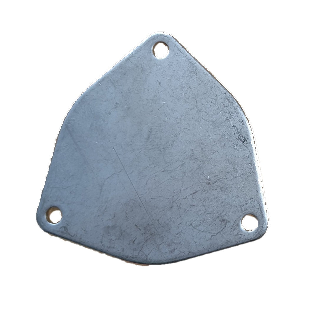 Cover Plate, Stainless (Onan 132-0373) JMP COV0075
