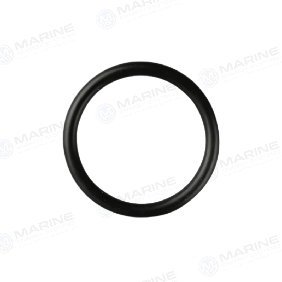 Oring (Seawater Pump Mount) JMP ORG0056