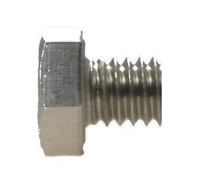 Screw Stainless for Seawater Pump Covers BOL0163