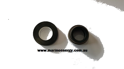 Johnson 0.2247.008 Mechanical Seal Replacement AN 747