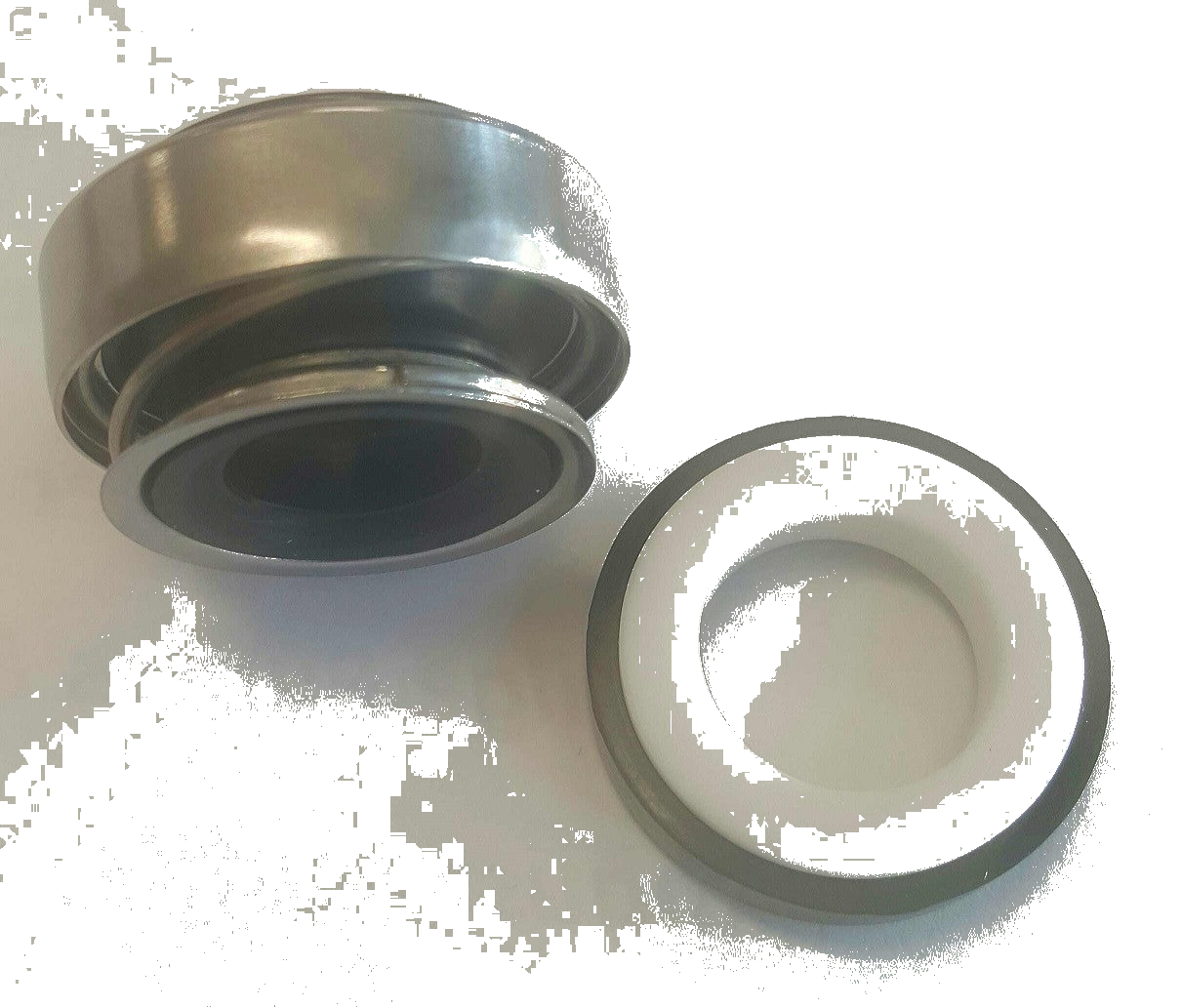 Johnson Mechanical Seal Replacement AN 6190