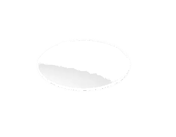 Clear Lid AN 447 for Seawater Strainer AN 67 ( F25)