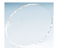 Clear Lid Seawater Strainers 1'' (115mm diameter)