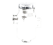 3/4" Seawater Strainer (BISO) - Brass Maestrini